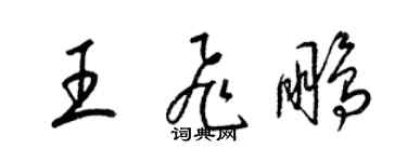 梁錦英王飛鵬草書個性簽名怎么寫