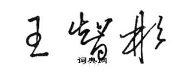 駱恆光王智彬草書個性簽名怎么寫