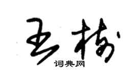 朱錫榮王樹草書個性簽名怎么寫