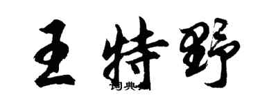 胡問遂王特野行書個性簽名怎么寫