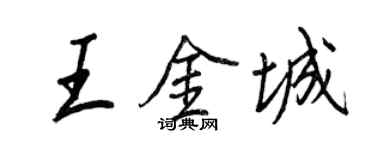 王正良王金城行書個性簽名怎么寫