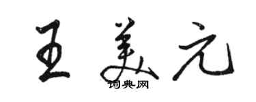 駱恆光王美元行書個性簽名怎么寫