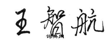 駱恆光王智航行書個性簽名怎么寫