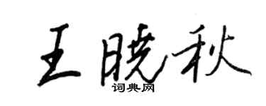 王正良王曉秋行書個性簽名怎么寫