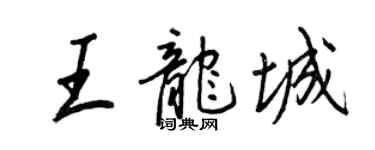 王正良王龍城行書個性簽名怎么寫