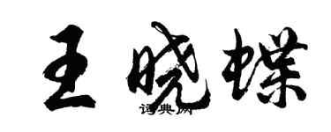 胡問遂王曉蝶行書個性簽名怎么寫