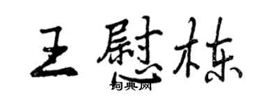 曾慶福王慰棟行書個性簽名怎么寫