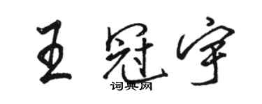 駱恆光王冠宇行書個性簽名怎么寫