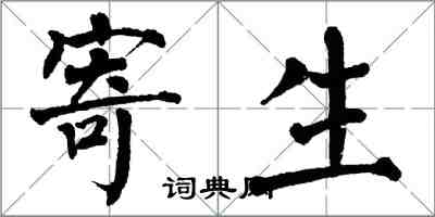 翁闓運寄生楷書怎么寫