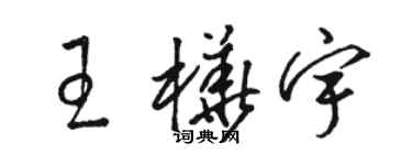 駱恆光王樺宇草書個性簽名怎么寫