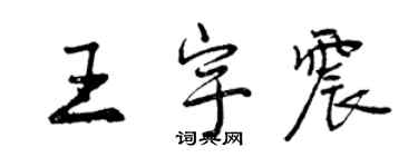 曾慶福王宇震行書個性簽名怎么寫