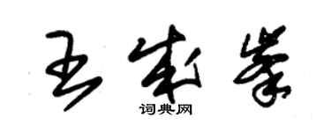 朱錫榮王成峰草書個性簽名怎么寫