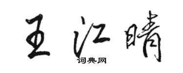 駱恆光王江晴行書個性簽名怎么寫