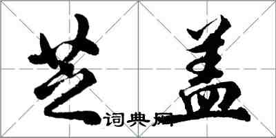 胡問遂芝蓋行書怎么寫