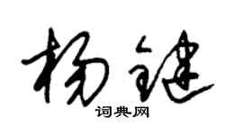 朱錫榮楊鍵草書個性簽名怎么寫