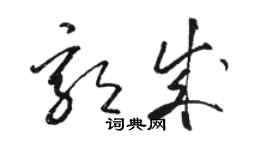 駱恆光郭成草書個性簽名怎么寫