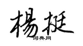 王正良楊挺行書個性簽名怎么寫