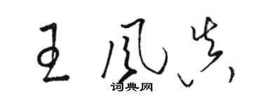 駱恆光王風真草書個性簽名怎么寫