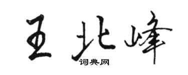 駱恆光王北峰行書個性簽名怎么寫