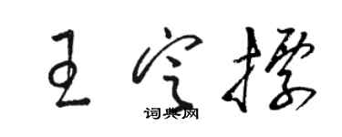 駱恆光王定標草書個性簽名怎么寫