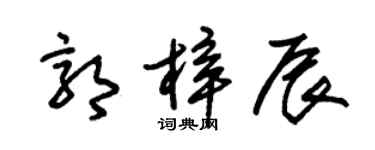 朱錫榮郭梓辰草書個性簽名怎么寫