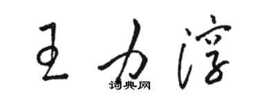 駱恆光王力淳草書個性簽名怎么寫