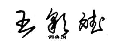 朱錫榮王彩斌草書個性簽名怎么寫