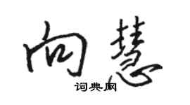 駱恆光向慧行書個性簽名怎么寫