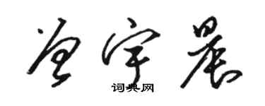 駱恆光曾宇晨草書個性簽名怎么寫