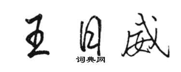 駱恆光王日威行書個性簽名怎么寫