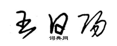 朱錫榮王日陽草書個性簽名怎么寫