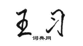 駱恆光王習行書個性簽名怎么寫