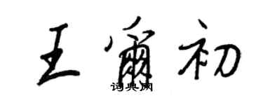 王正良王爾初行書個性簽名怎么寫