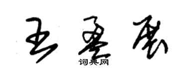 朱錫榮王盈展草書個性簽名怎么寫