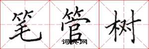 田英章筆管樹楷書怎么寫
