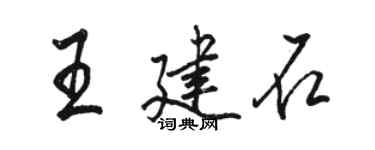 駱恆光王建石行書個性簽名怎么寫