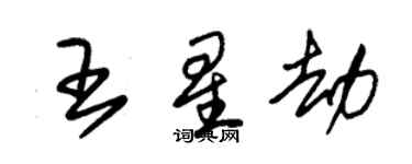 朱錫榮王星劫草書個性簽名怎么寫