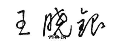 駱恆光王曉銀草書個性簽名怎么寫