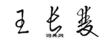 駱恆光王長雙草書個性簽名怎么寫