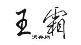 駱恆光王霜行書個性簽名怎么寫