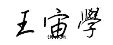 王正良王宙學行書個性簽名怎么寫