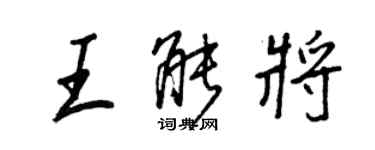 王正良王能將行書個性簽名怎么寫