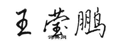 駱恆光王瑩鵬行書個性簽名怎么寫