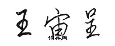 駱恆光王宙呈行書個性簽名怎么寫