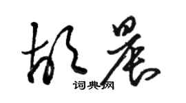 駱恆光胡晨草書個性簽名怎么寫