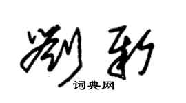 朱錫榮劉新草書個性簽名怎么寫