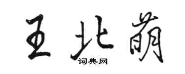 駱恆光王北萌行書個性簽名怎么寫