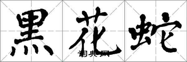 翁闓運黑花蛇楷書怎么寫