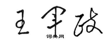 駱恆光王軍政草書個性簽名怎么寫