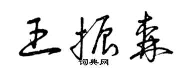 曾慶福王振森草書個性簽名怎么寫